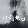 曾诗涵 - 何必要挽回