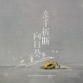 铃安 - 亲手折断向日葵之重生