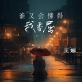 王娜 - 谁又会懂我的委屈