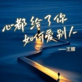王娜 - 心都给了你如何爱别人