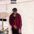 Pela Wizzy - Excel