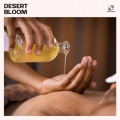 Pure Massage Music、Massage Music、Sauna Relax Music Rec、Healing Ritual Music - Mind Body Relaxation