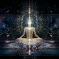 Mind Body Harmony