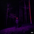 Destroy Lonely - raver