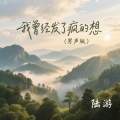 陆游 - 我曾经发了疯的想