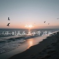夏不语 - 两难