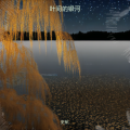 史航 - 叶尖的银河