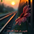 Molvi Nasratullah Nasrat - شایسته شکلی ځوانان