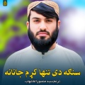 Syed MansooAgha Shahab - پاته یی شهید زړه کی