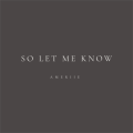 Ameriie - So Let Me Know