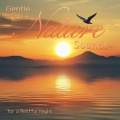 Nature Sounds For Focus、Focus Music - Deep Concentration Zone