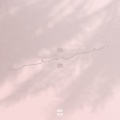 傅如乔 - 微微
