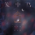 周林枫 - 笼中鸟