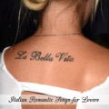 Nic Raine、Paul Bateman、City of Prague Philharmonic Orchestra - Love Theme