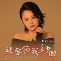 影子 - 还要伤我多少回