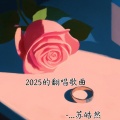 苏皓 - 火辣辣的情歌