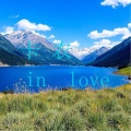 卡农inlove