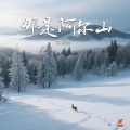 红蔷薇 - 那是阿尔山