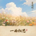夏遇明 - 一曲相思