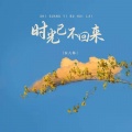 安儿陈 - 时光已不回来