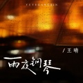 王晴 - 雨夜钢琴