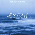 大笨 - 情没有对错
