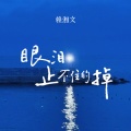 赖湘文 - 眼泪止不住的掉