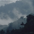 Soundbreaker - AXIS