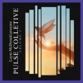 Pulse Collective Pt. 2