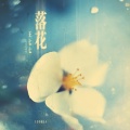 王七七 - 落花