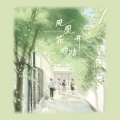 藤柒吖 - 凤凰花开的路口
