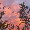 曹一阳 - 你的太阳