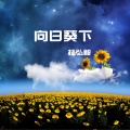 杨弘毅 - 向日葵