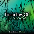 Branches Of Serenity