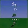 杨弘毅 - 如果呢