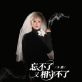 王娜 - 忘不了又相守不了