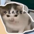 初生 - 密码的周一