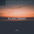 宇天少 - 怎么去忘了那段回忆