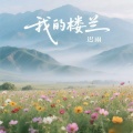 迟雨 - 我的楼兰