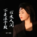 影子 - 谁来人间不是凑个数
