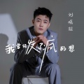 刘晓超 - 我曾经发了疯的想