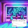 寂寞才说爱（DJheap九天版）