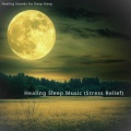 Healing Sounds for Deep Sleep、SLEEPY NUTS - blighted days