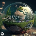 Sole Spirit、Red Silver - World in Your Eyes