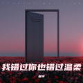 新宇 - 我错过你也错过温柔 红蔷薇