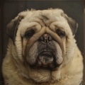 Dog Relaxation Music、Dog Calming Music、Calming for Dogs - We All Know