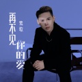 莺歌 - 再不见你的爱