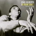 João Gilberto - Discussão