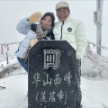 阳毛 - 哀乐