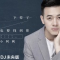 小阿枫 - 下辈子也要找到你